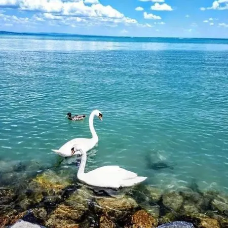 Arena Semesterbostad Siófok