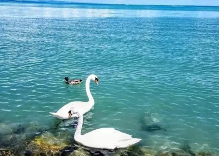Arena Hébergement de vacances Siófok